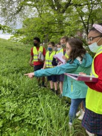 A group of students explore plant growth on the Green House Venture embankment