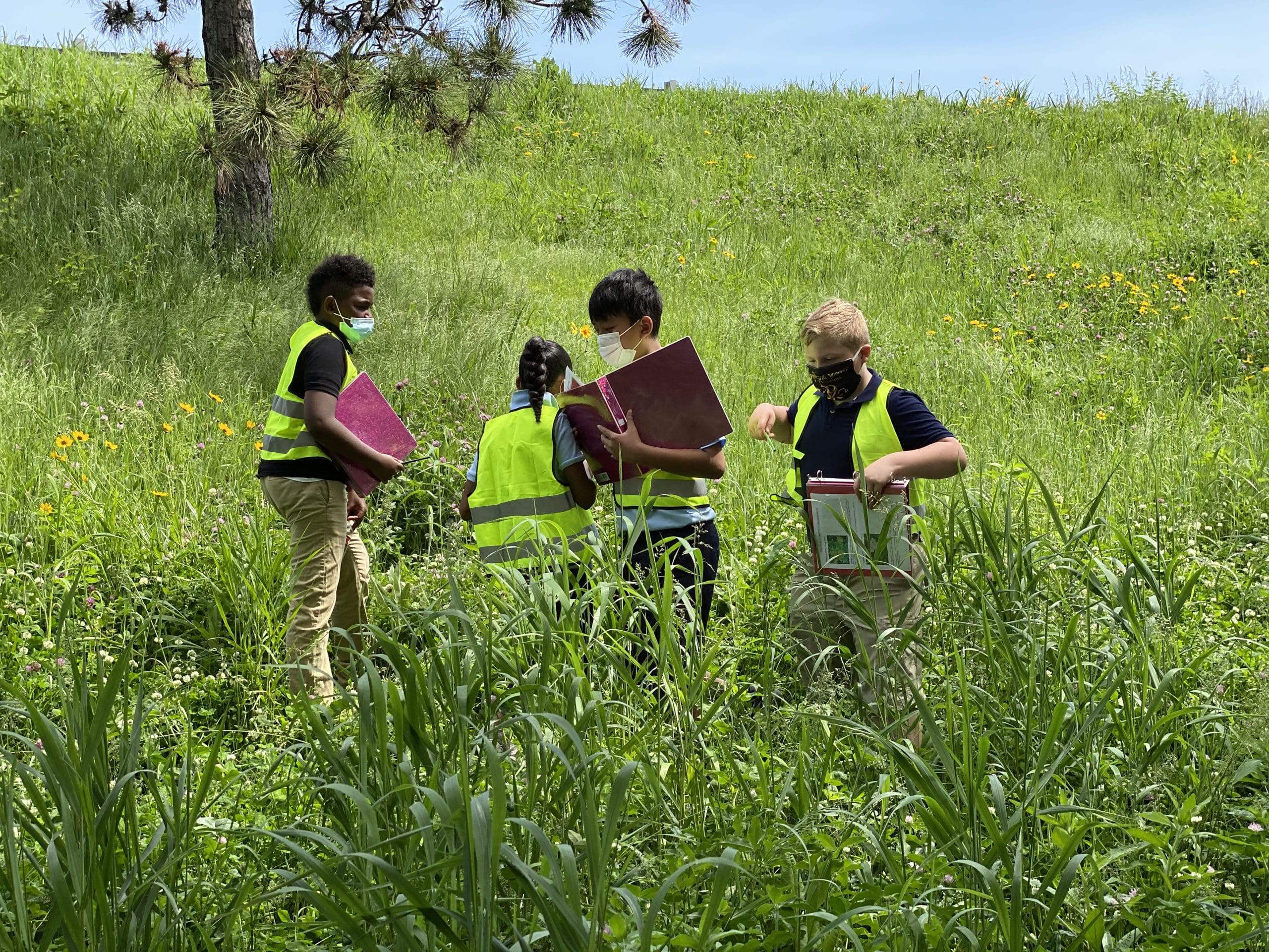 Four children carrying field notebooks inspect the field on the GHV embankment