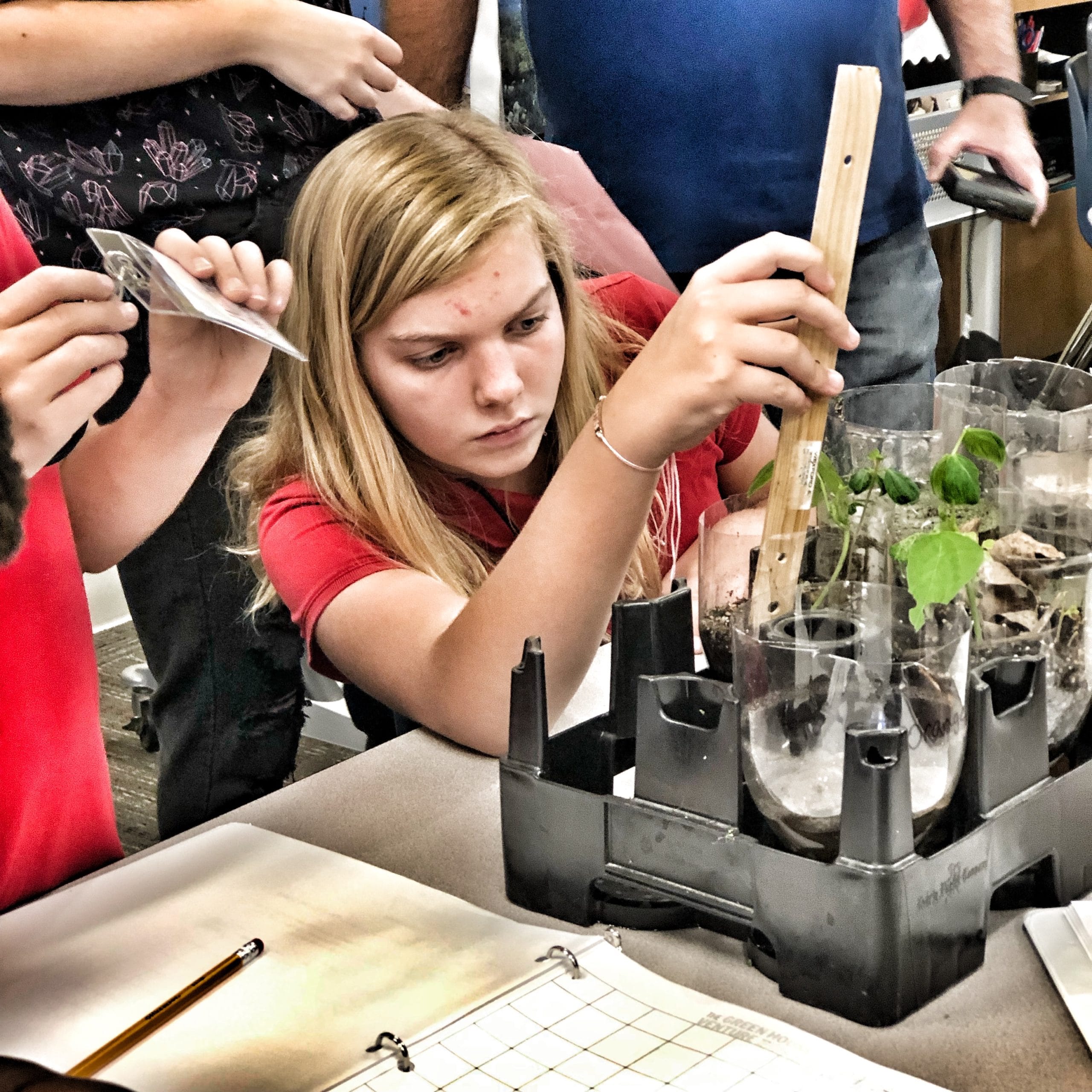 A student measures plant growth