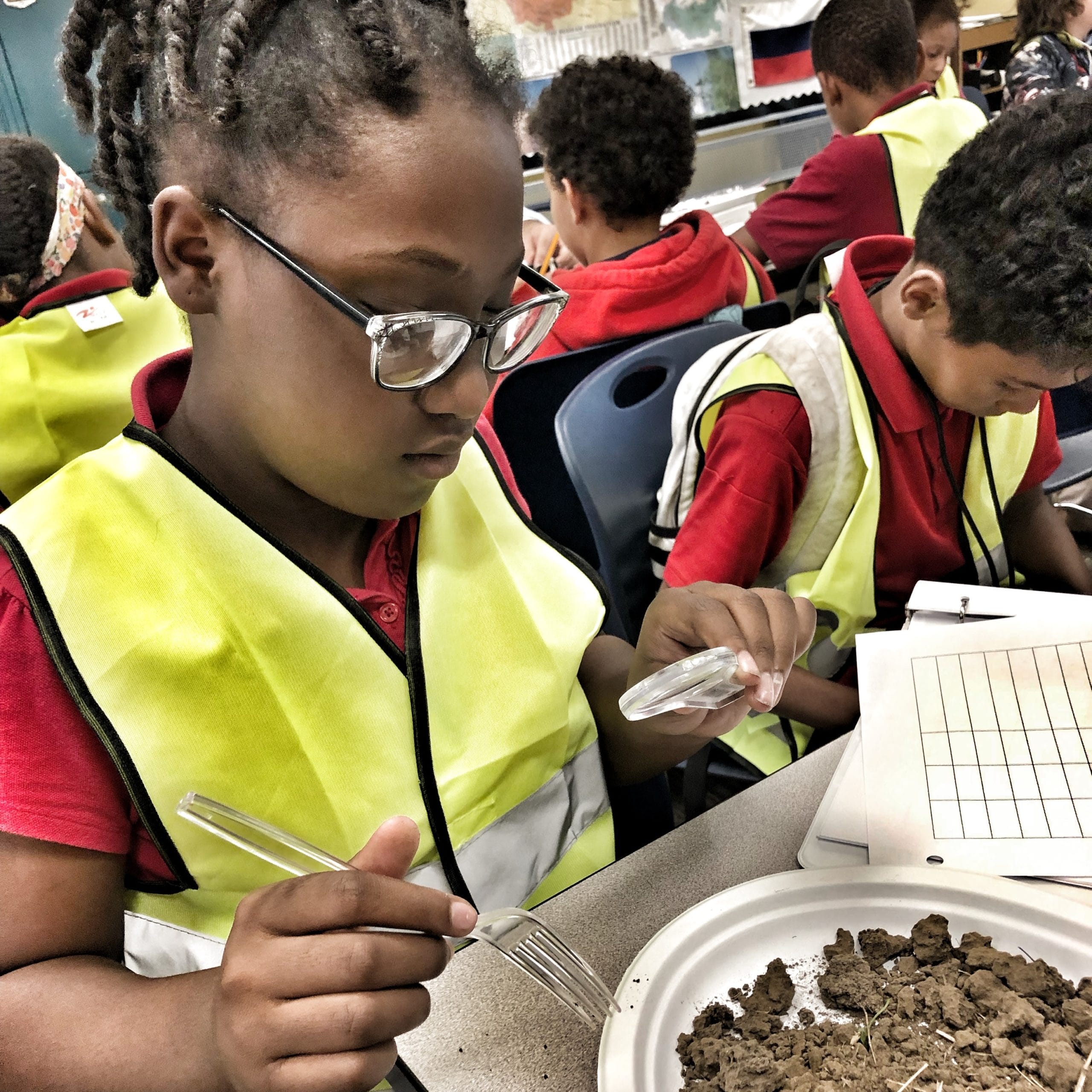 Inspecting-soil